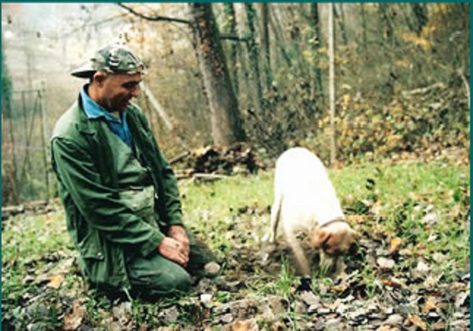 Profumi... Pension Vinchio Buitenkant foto